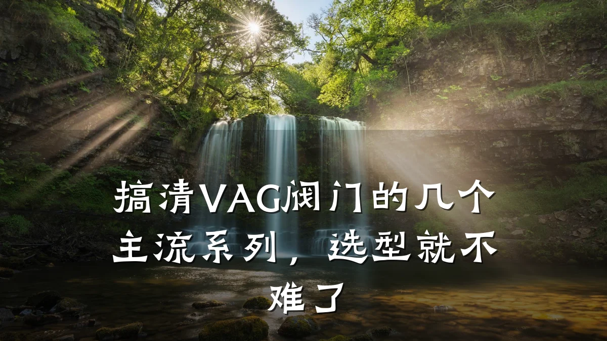 搞清VAG阀门的几个主流系列，选型就不难了