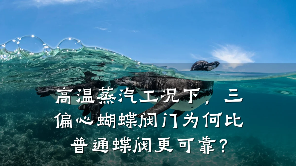 高温蒸汽工况下，三偏心蝴蝶阀门为何比普通蝶阀更可靠？