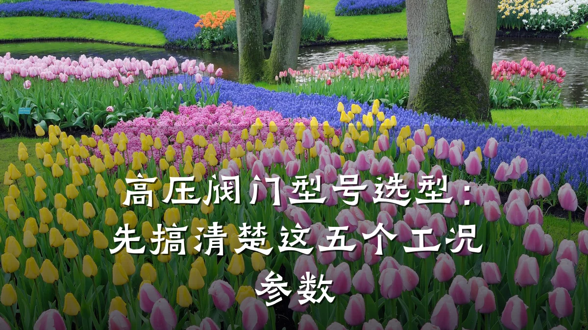 高压阀门型号选型：先搞清楚这五个工况参数