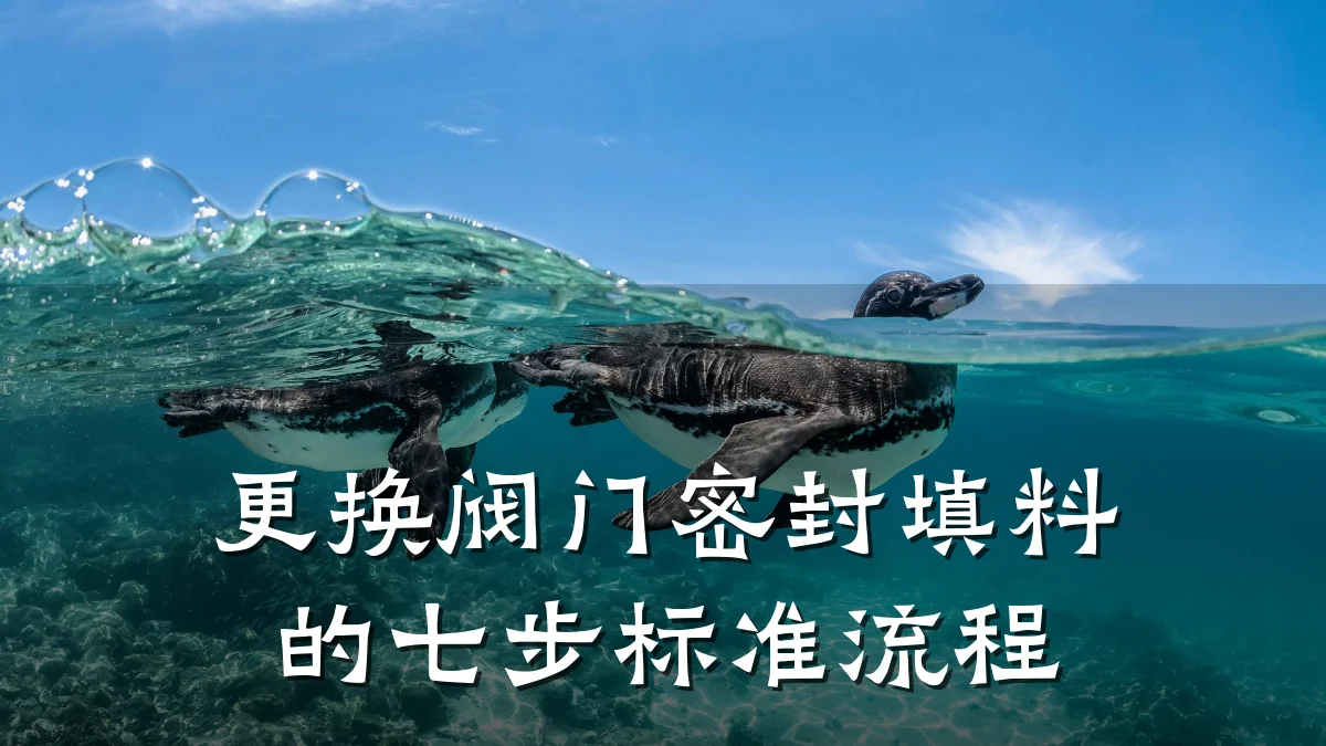 更换阀门密封填料的七步标准流程