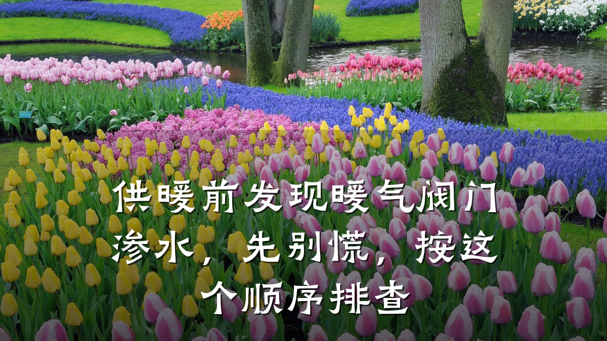 供暖前发现暖气阀门渗水，先别慌，按这个顺序排查