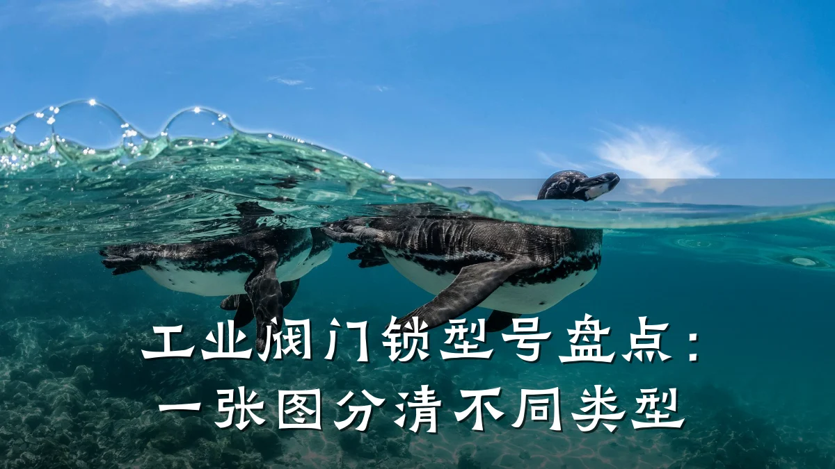 工业阀门锁型号盘点：一张图分清不同类型