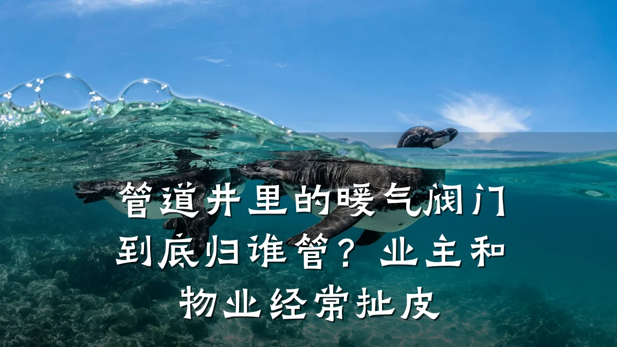 管道井里的暖气阀门到底归谁管？业主和物业经常扯皮