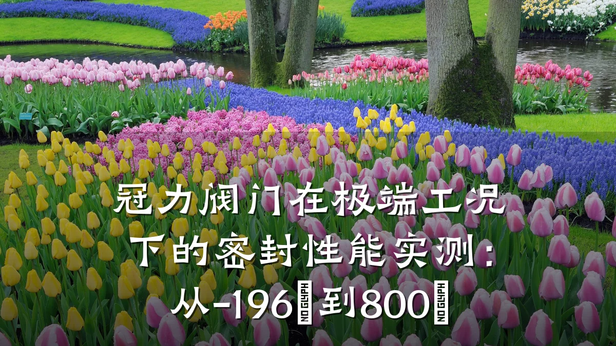 冠力阀门在极端工况下的密封性能实测：从-196℃到800℃