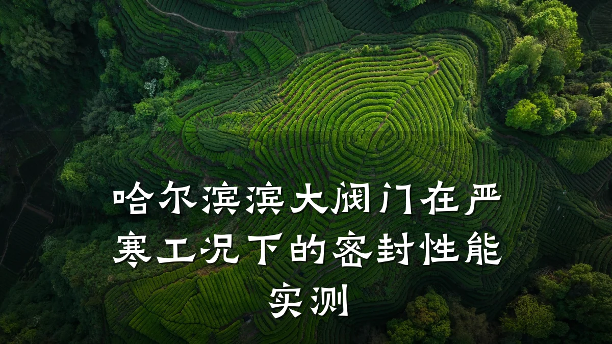 哈尔滨滨大阀门在严寒工况下的密封性能实测