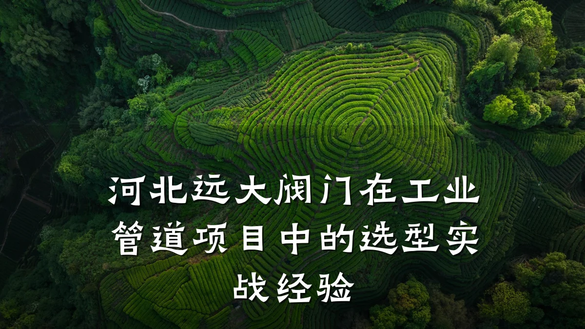 河北远大阀门在工业管道项目中的选型实战经验