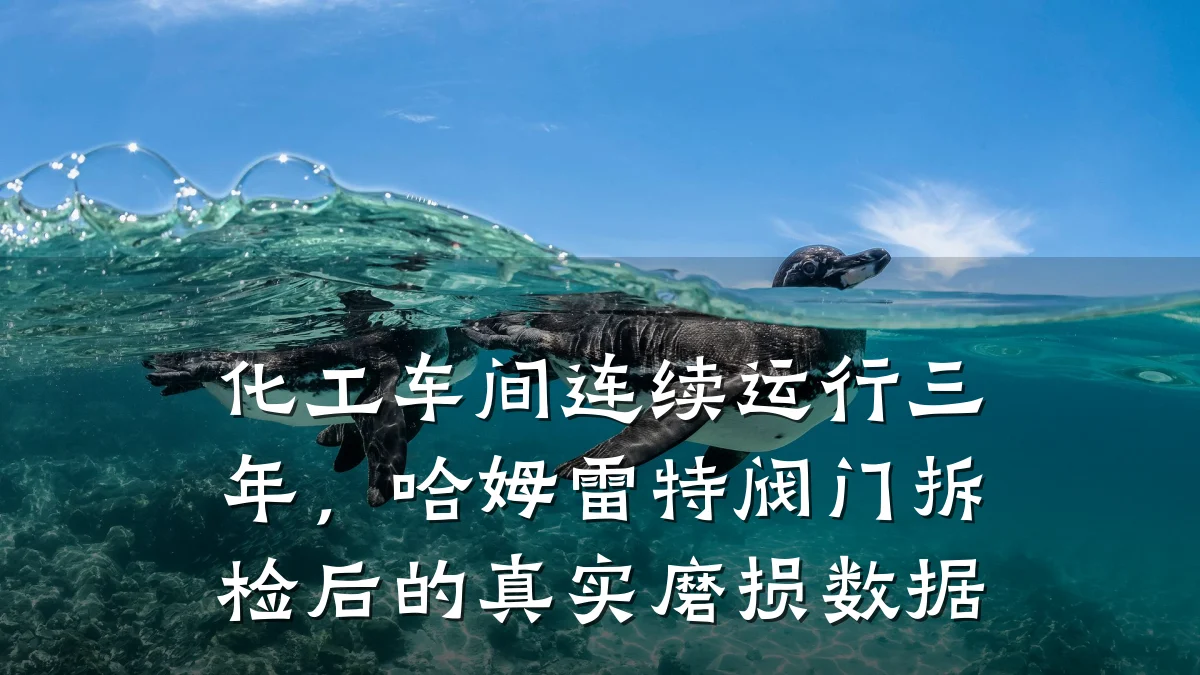化工车间连续运行三年，哈姆雷特阀门拆检后的真实磨损数据