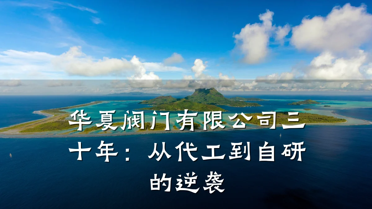 华夏阀门有限公司三十年：从代工到自研的逆袭