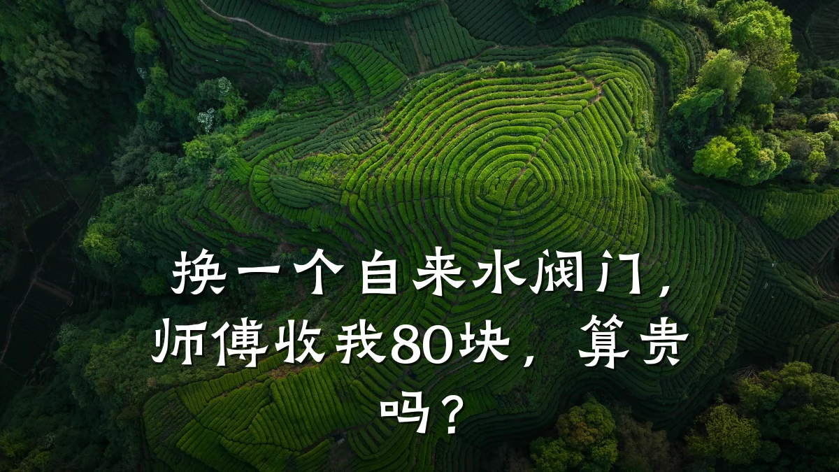 换一个自来水阀门，师傅收我80块，算贵吗？