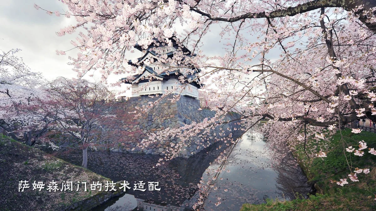 萨姆森阀门的技术适配