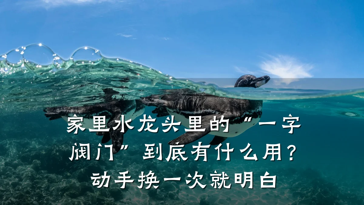 家里水龙头里的“一字阀门”到底有什么用？动手换一次就明白