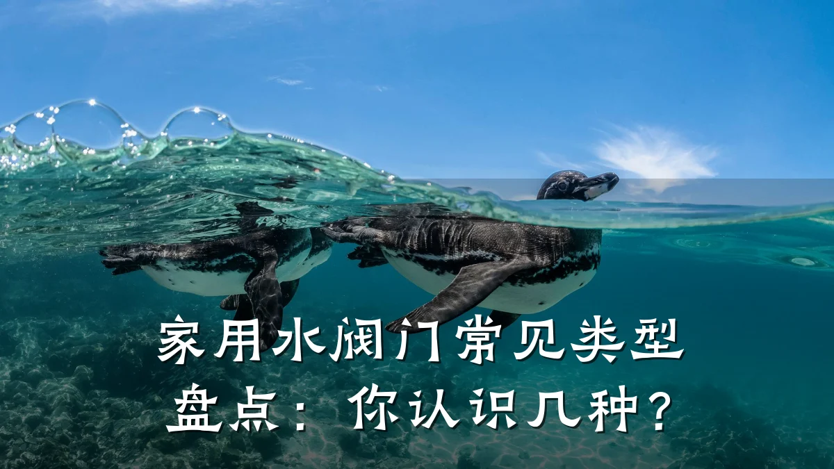 家用水阀门常见类型盘点：你认识几种？