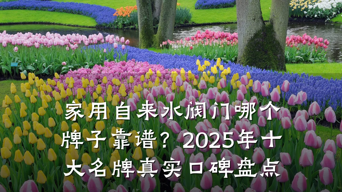 家用自来水阀门哪个牌子靠谱？2025年十大名牌真实口碑盘点