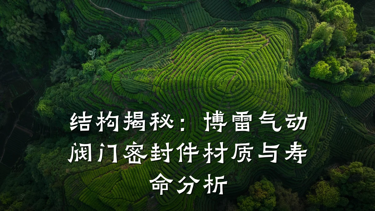 结构揭秘：博雷气动阀门密封件材质与寿命分析