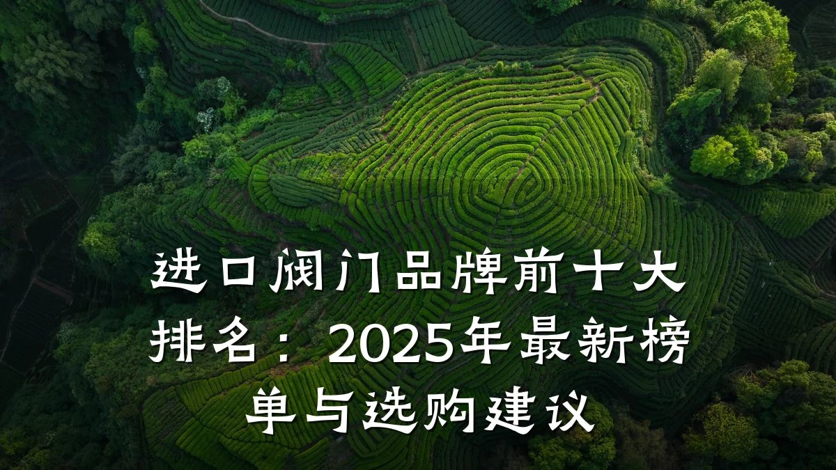 进口阀门品牌前十大排名：2025年最新榜单与选购建议