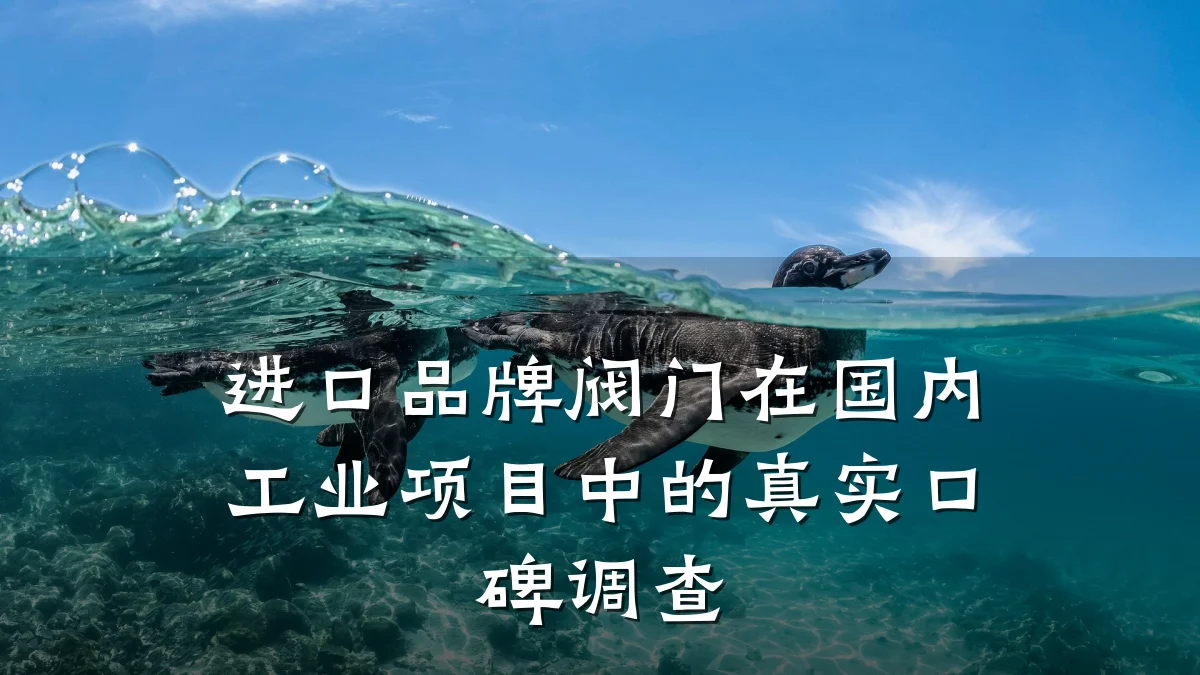 进口品牌阀门在国内工业项目中的真实口碑调查