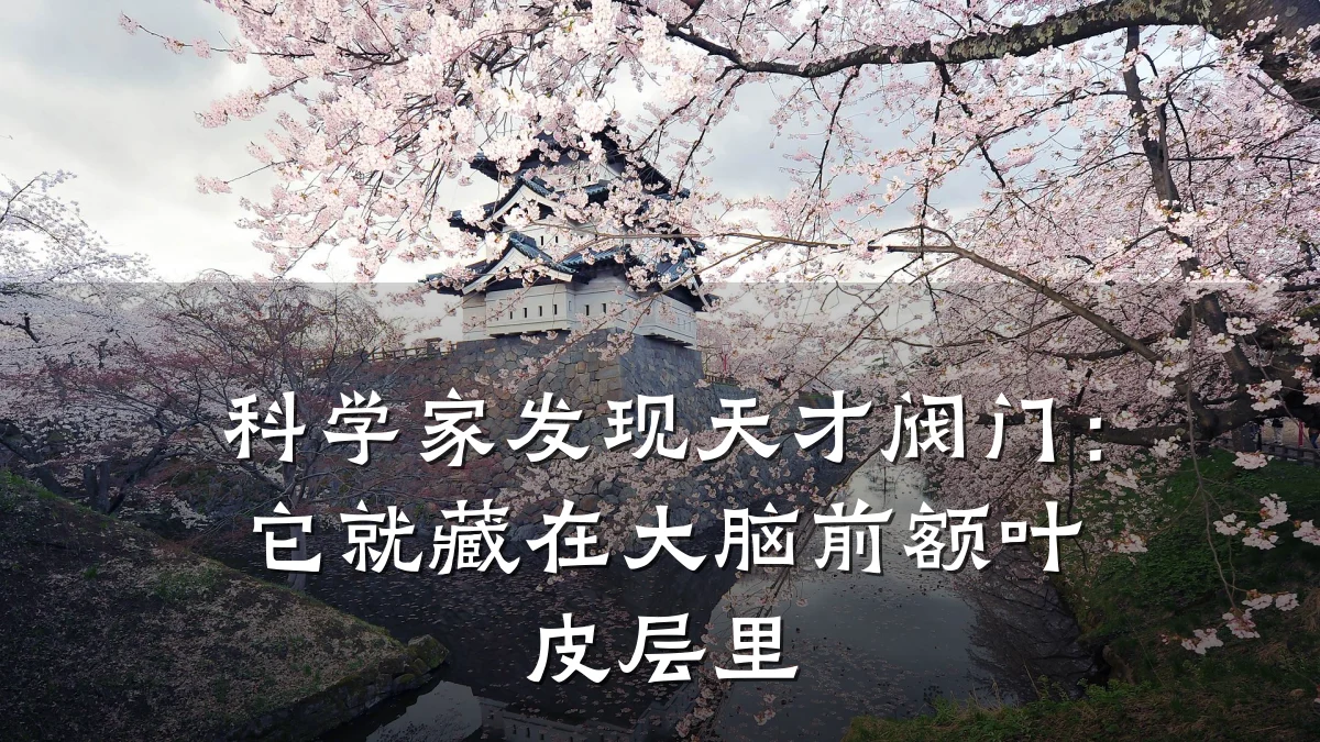 科学家发现天才阀门：它就藏在大脑前额叶皮层里