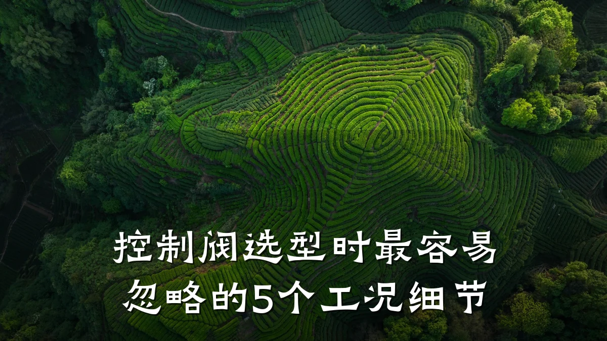 控制阀选型时最容易忽略的5个工况细节