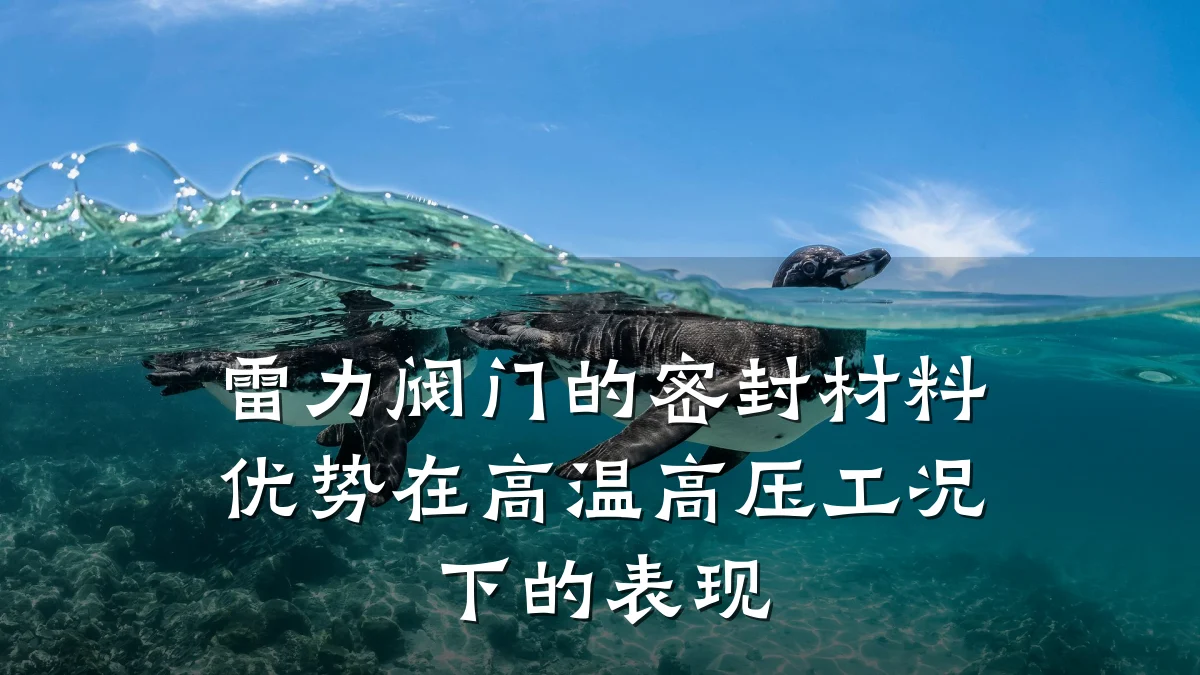 雷力阀门的密封材料优势在高温高压工况下的表现