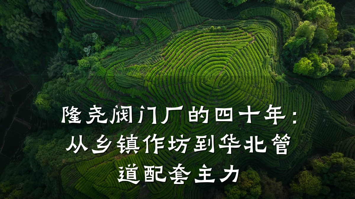 隆尧阀门厂的四十年：从乡镇作坊到华北管道配套主力