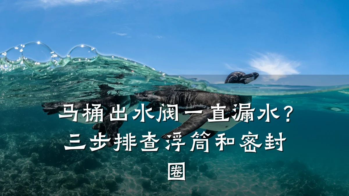 马桶出水阀一直漏水？三步排查浮筒和密封圈