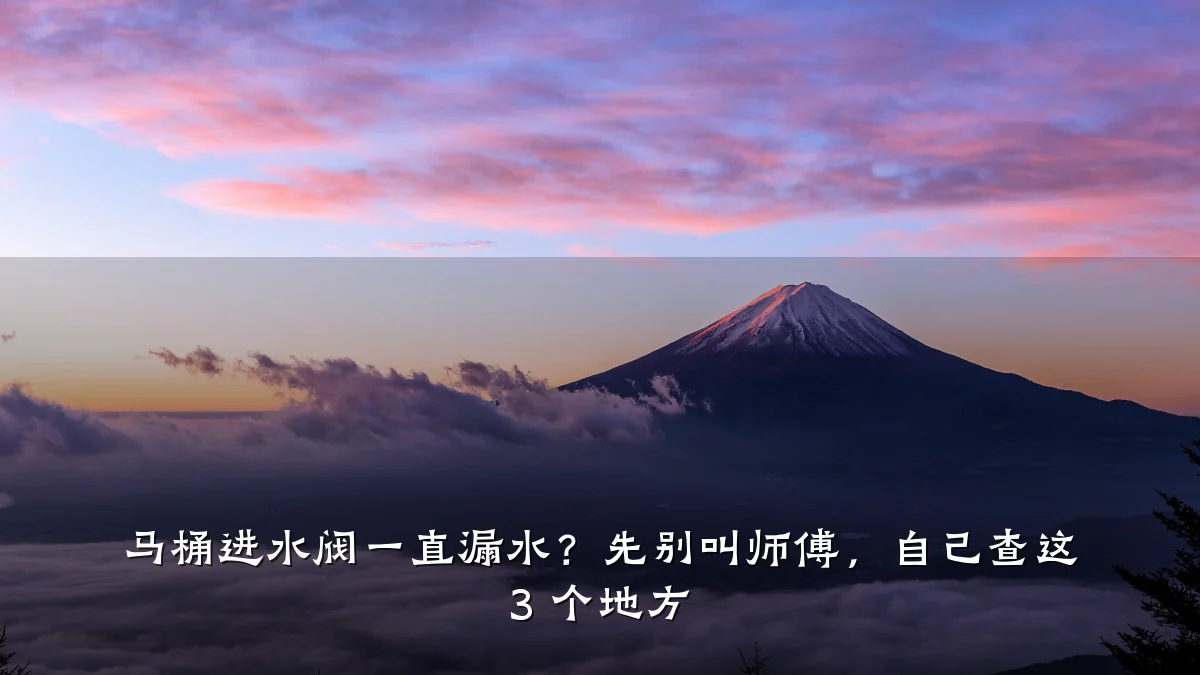 马桶进水阀一直漏水？先别叫师傅，自己查这 3 个地方