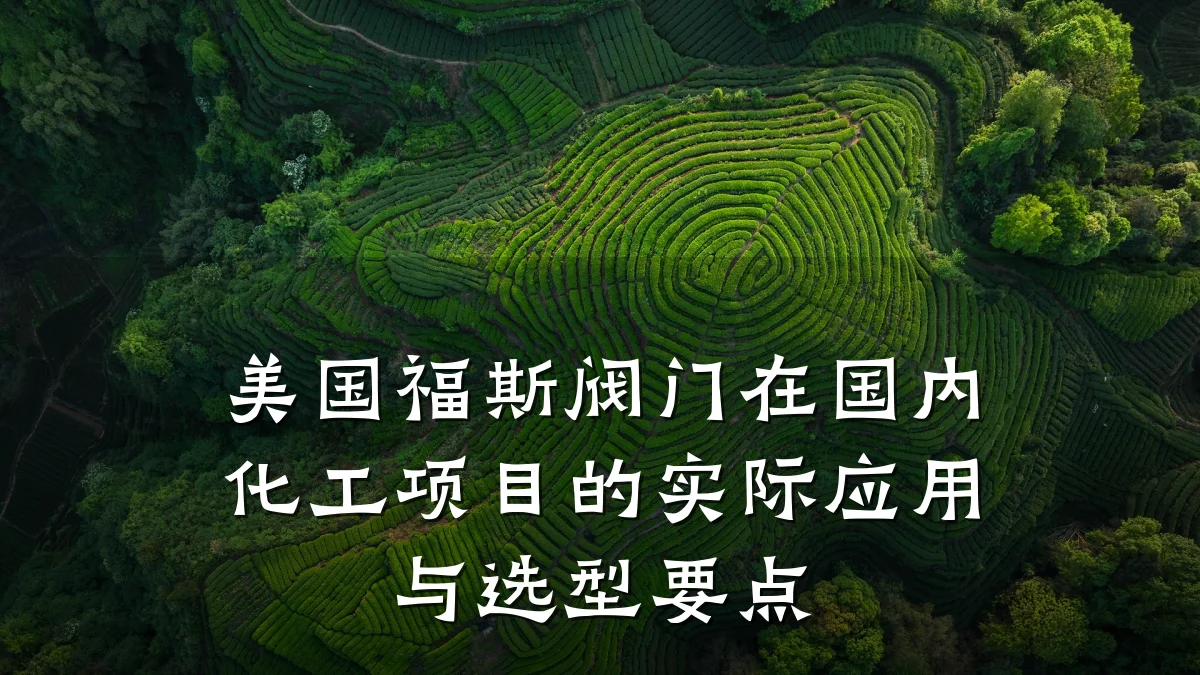 美国福斯阀门在国内化工项目的实际应用与选型要点