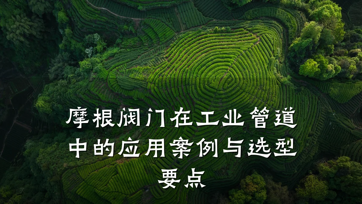 摩根阀门在工业管道中的应用案例与选型要点