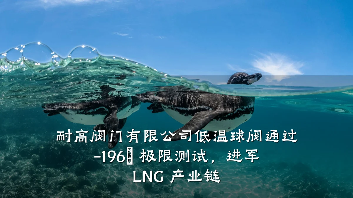 耐高阀门有限公司低温球阀通过 -196℃ 极限测试，进军 LNG 产业链