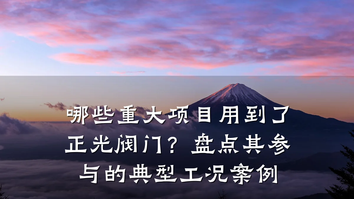 哪些重大项目用到了正光阀门？盘点其参与的典型工况案例