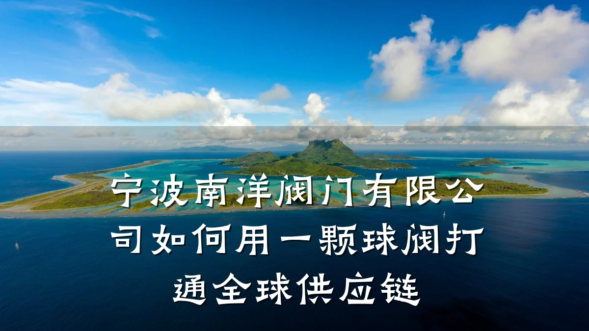 宁波南洋阀门有限公司如何用一颗球阀打通全球供应链