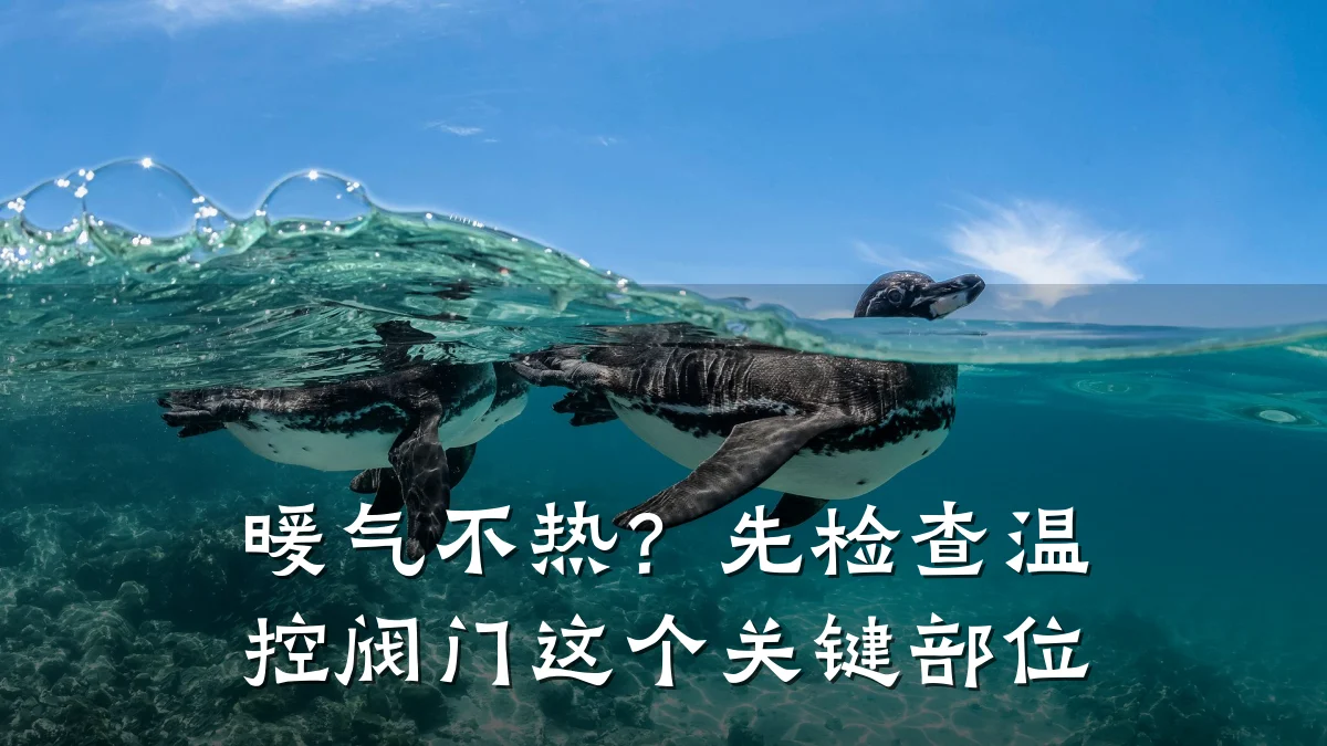 暖气不热？先检查温控阀门这个关键部位