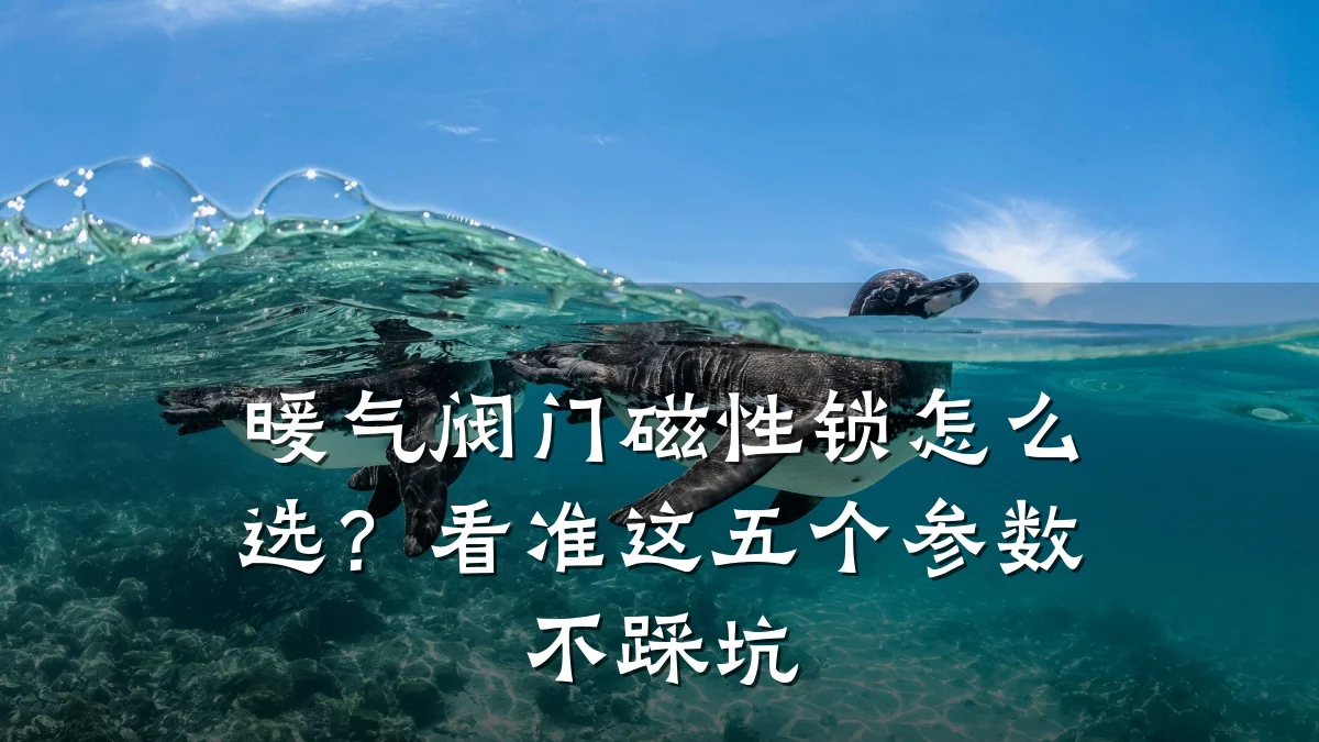 暖气阀门磁性锁怎么选？看准这五个参数不踩坑