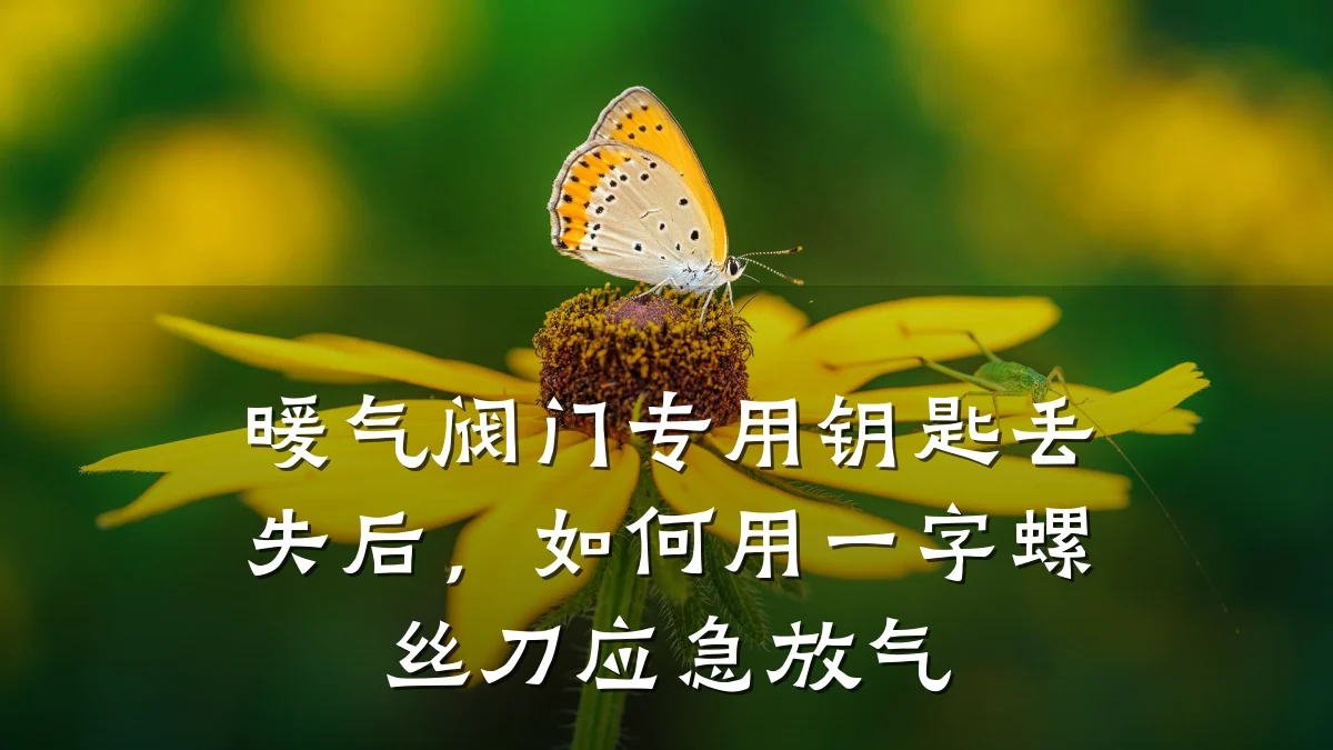 暖气阀门专用钥匙丢失后，如何用一字螺丝刀应急放气
