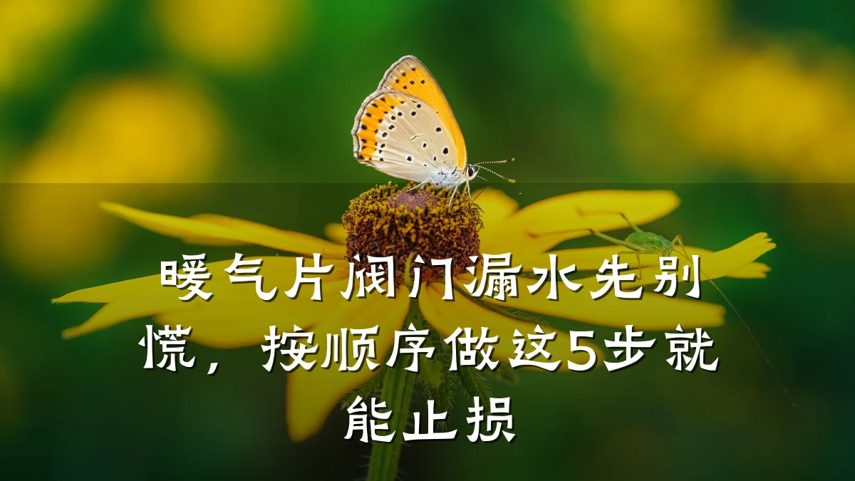 暖气片阀门漏水先别慌，按顺序做这5步就能止损