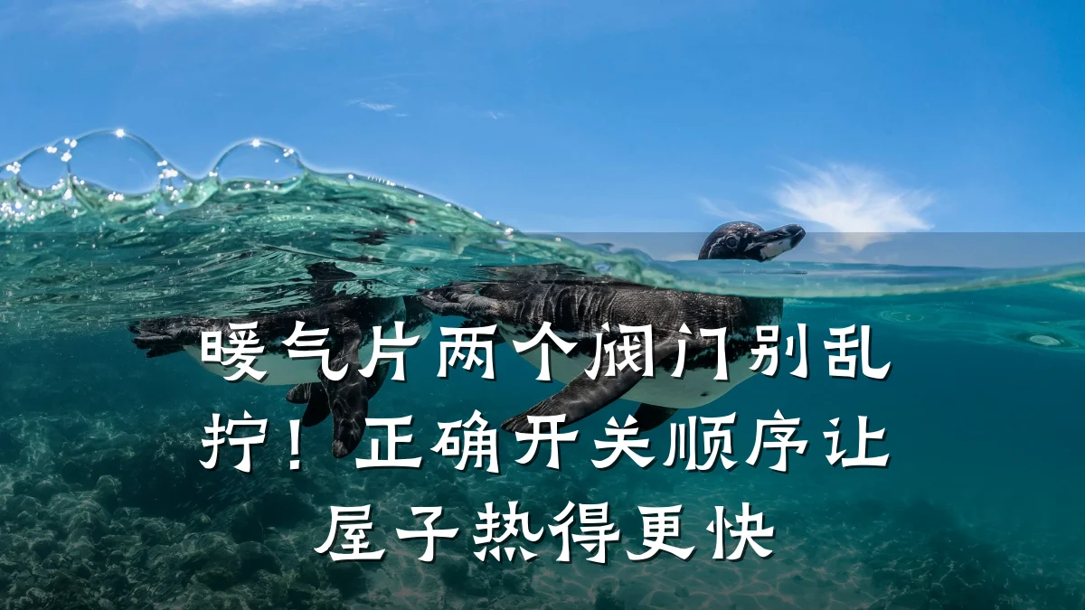 暖气片两个阀门别乱拧！正确开关顺序让屋子热得更快