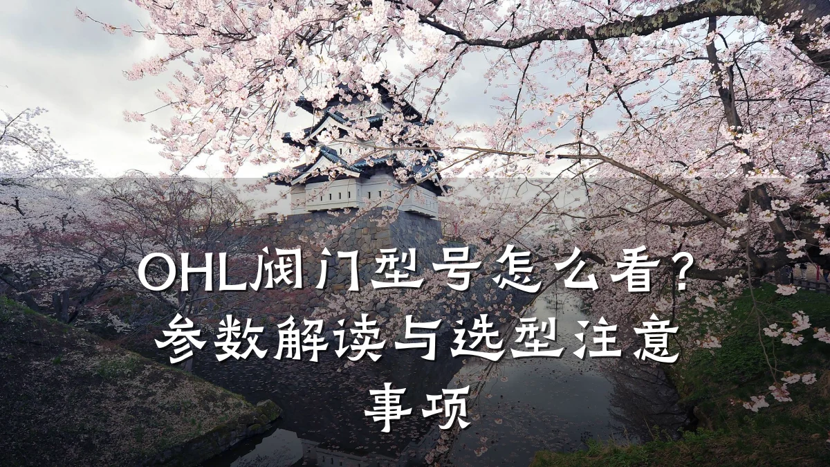 OHL阀门型号怎么看？参数解读与选型注意事项
