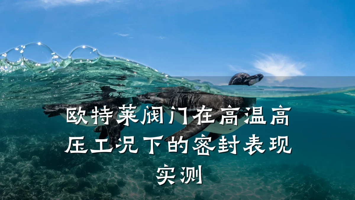 欧特莱阀门在高温高压工况下的密封表现实测
