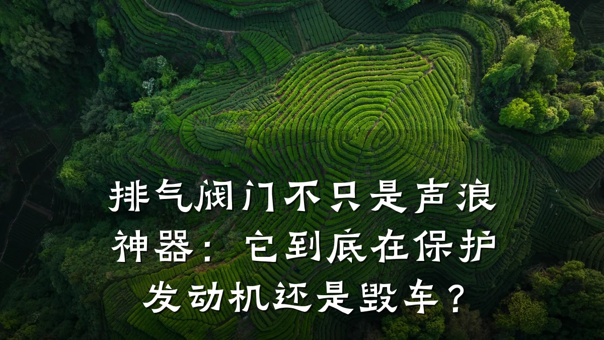 排气阀门不只是声浪神器：它到底在保护发动机还是毁车？