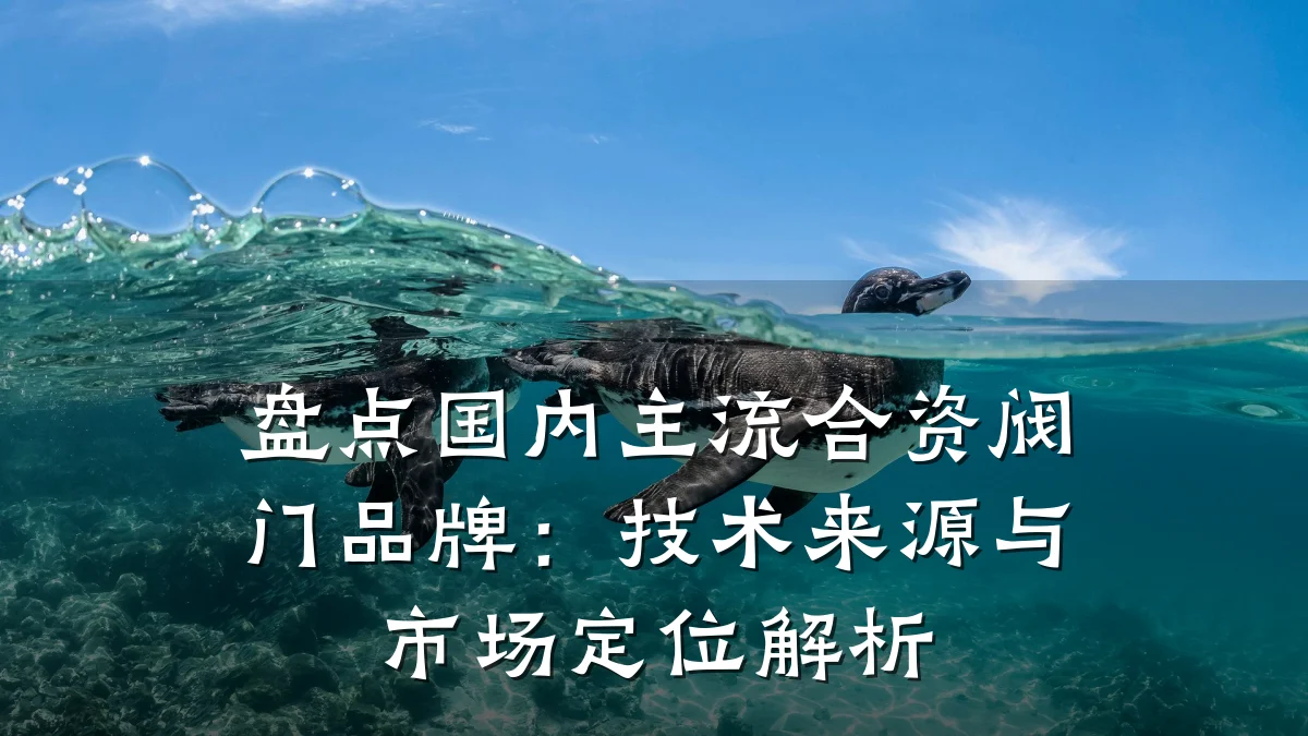 盘点国内主流合资阀门品牌：技术来源与市场定位解析