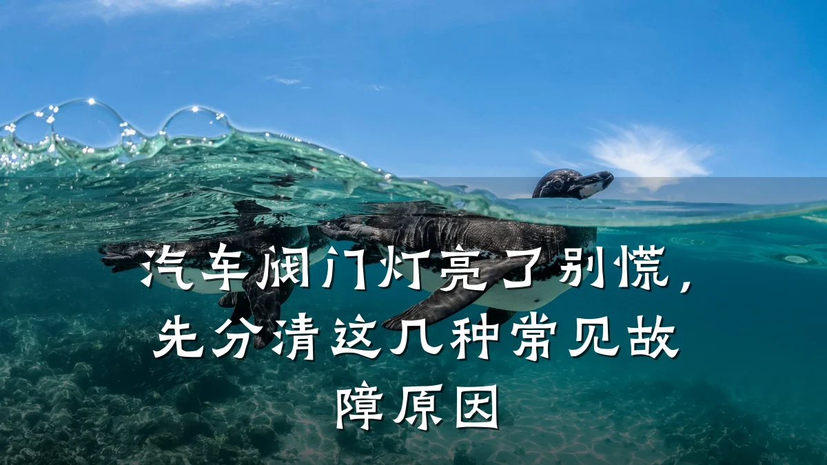 汽车阀门灯亮了别慌，先分清这几种常见故障原因
