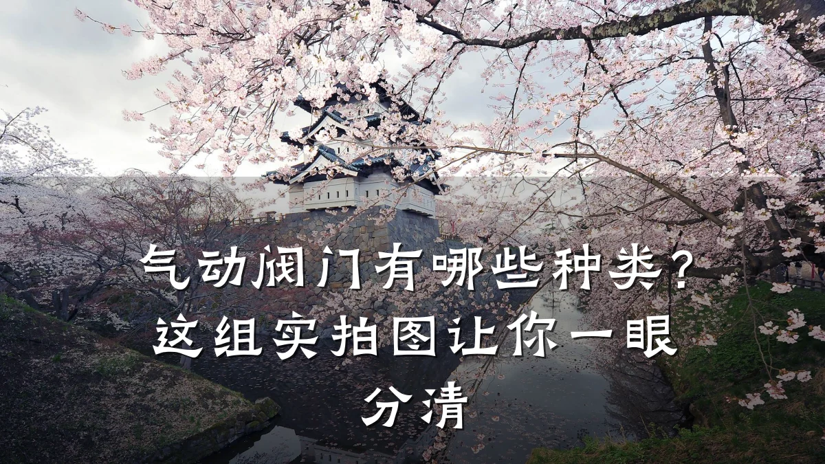 气动阀门有哪些种类？这组实拍图让你一眼分清