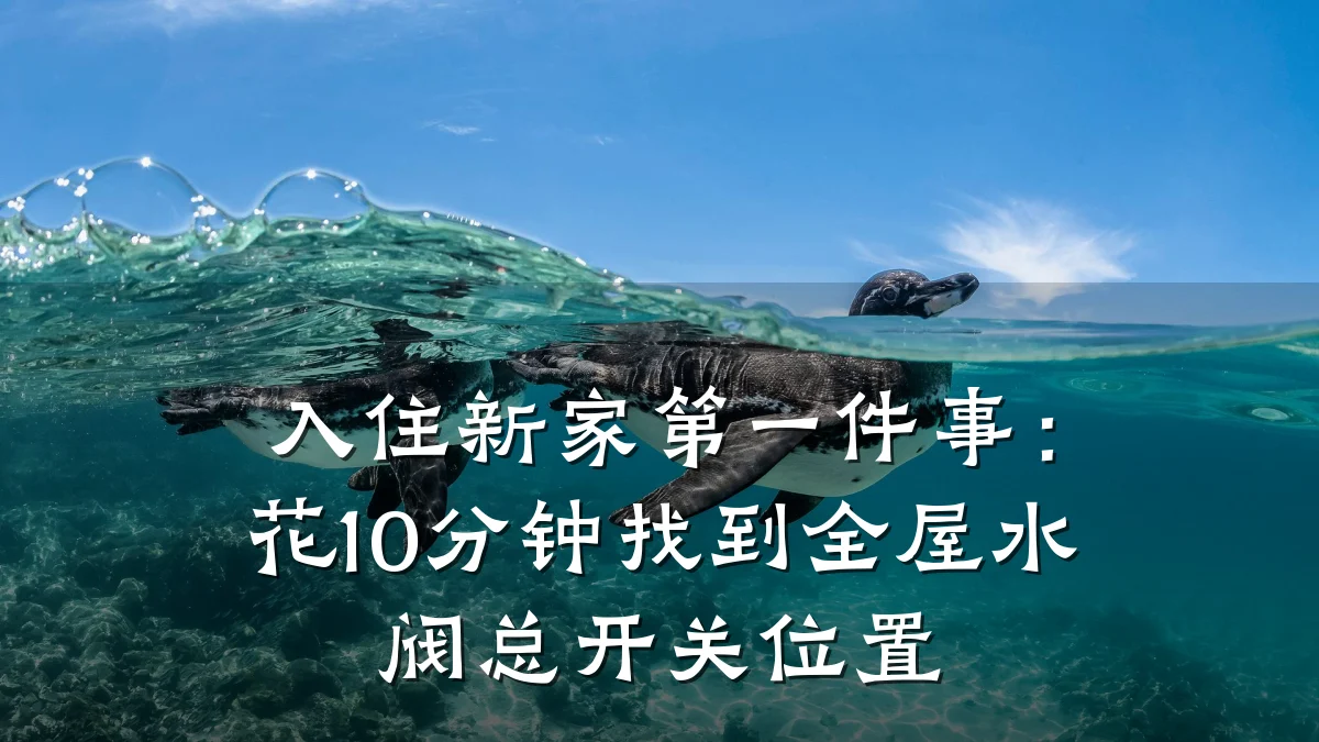 入住新家第一件事:花10分钟找到全屋水阀总开关位置