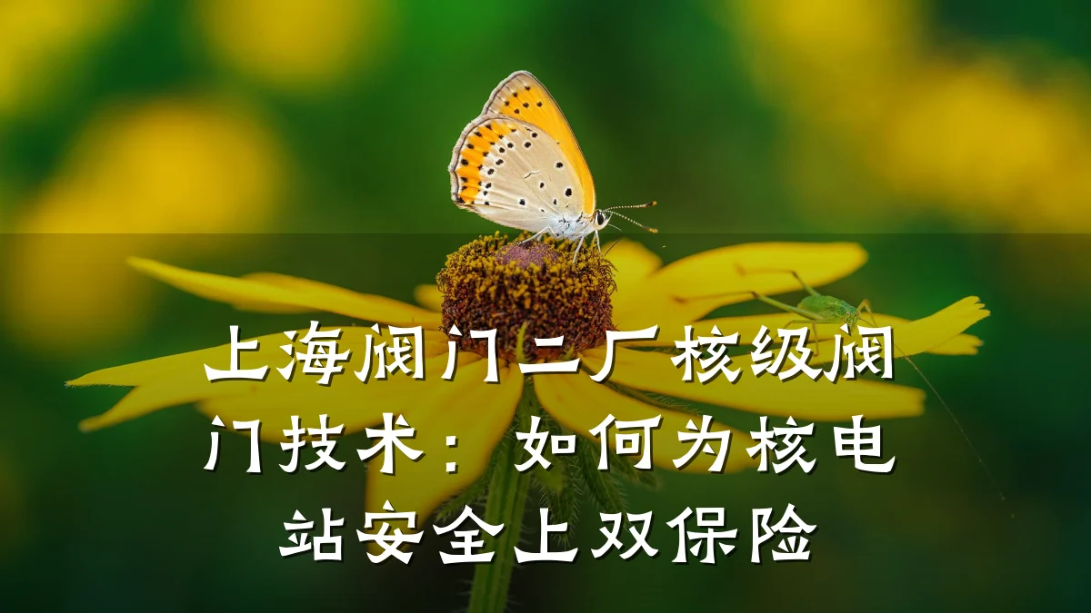 上海阀门二厂核级阀门技术：如何为核电站安全上双保险