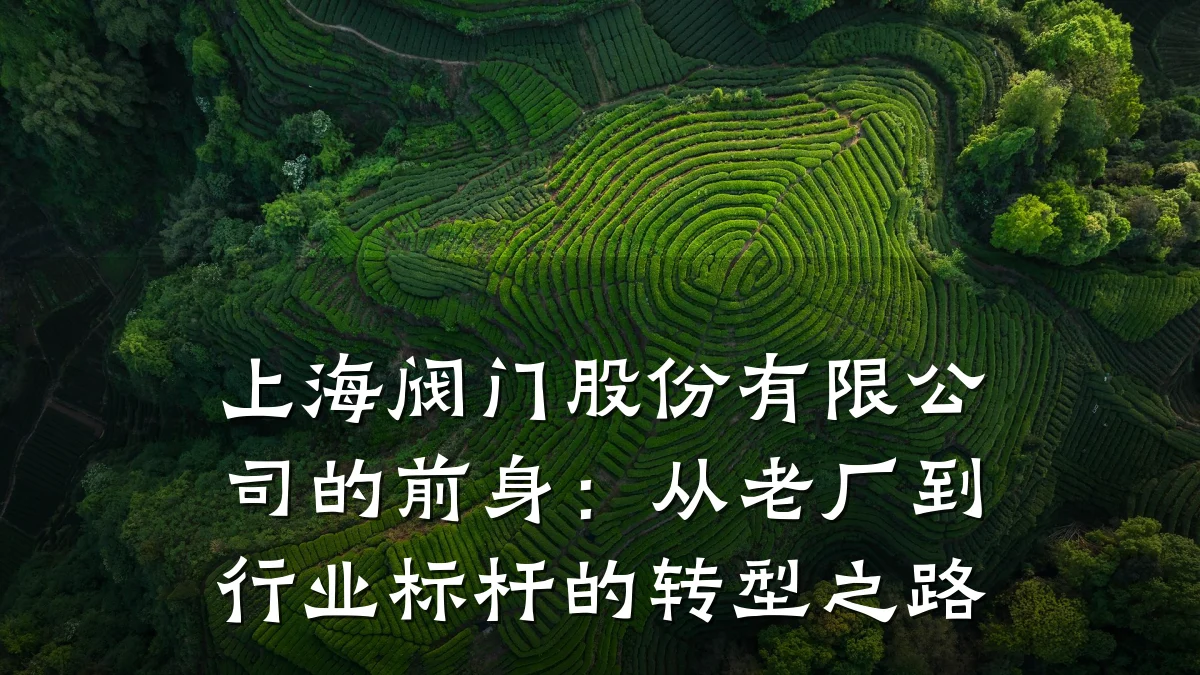 上海阀门股份有限公司的前身：从老厂到行业标杆的转型之路