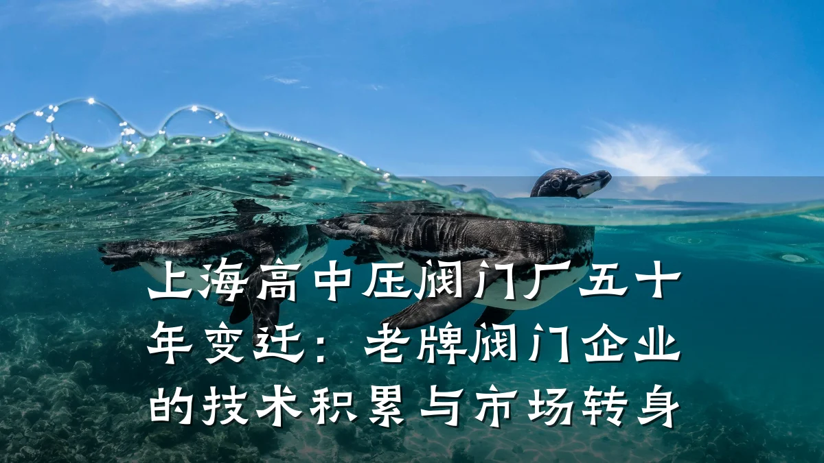 上海高中压阀门厂五十年变迁：老牌阀门企业的技术积累与市场转身