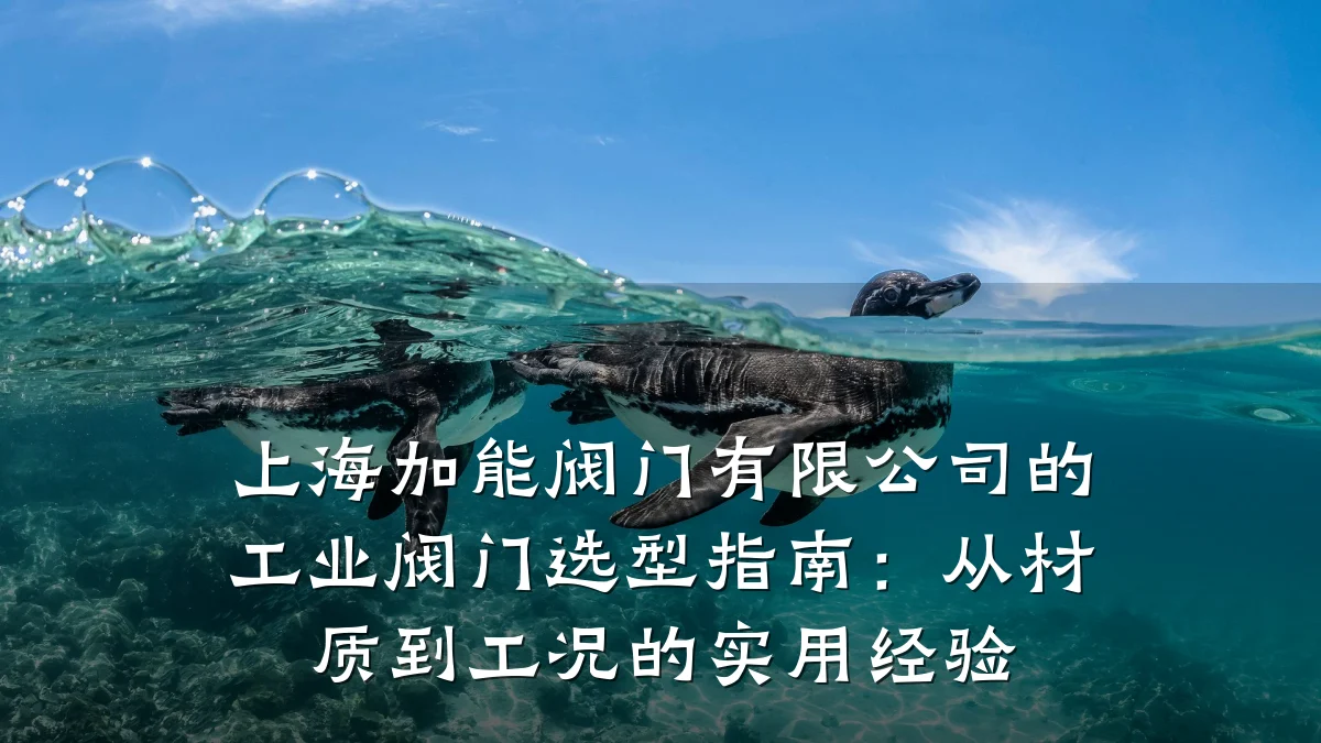 上海加能阀门有限公司的工业阀门选型指南：从材质到工况的实用经验