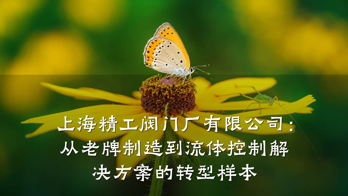 上海精工阀门厂有限公司:从老牌制造到流体控制解决方案的转型样本