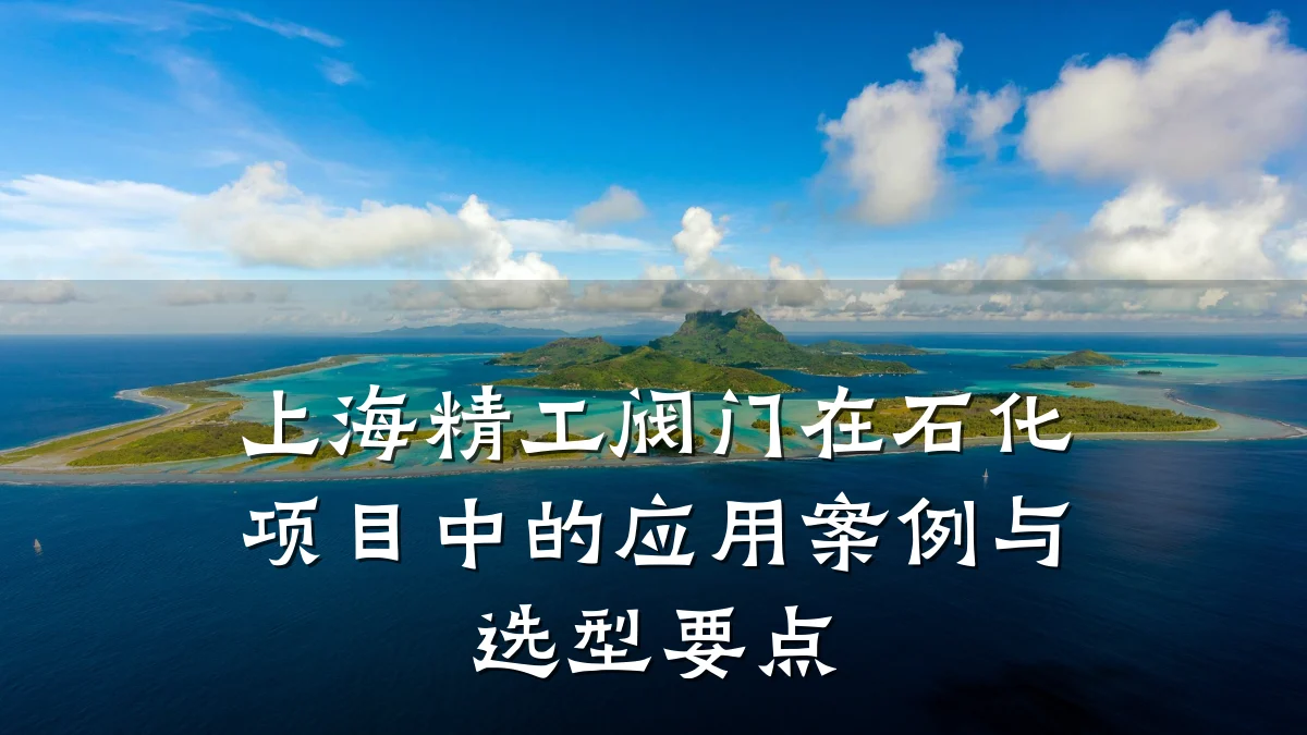 上海精工阀门在石化项目中的应用案例与选型要点
