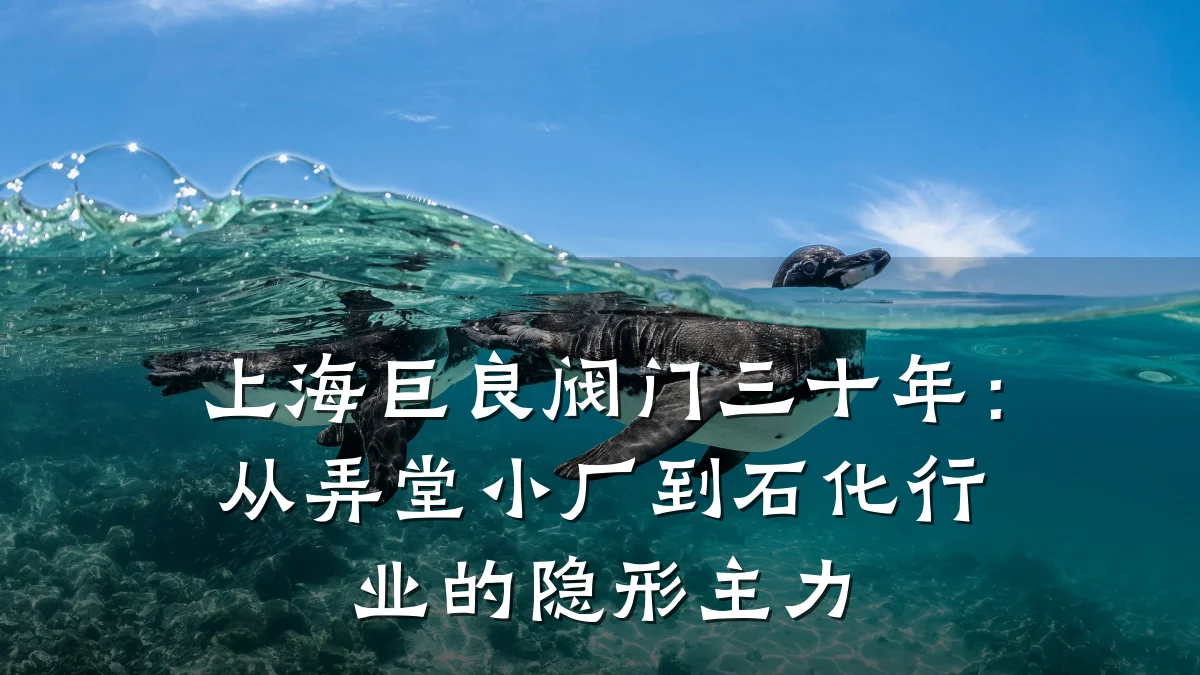 上海巨良阀门三十年：从弄堂小厂到石化行业的隐形主力
